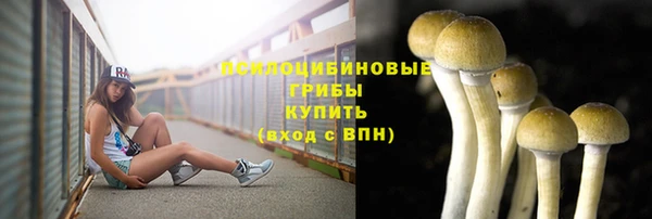 мефедрон Заводоуковск