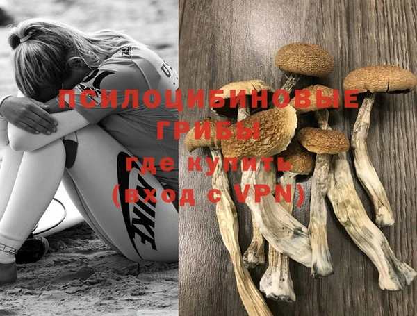 мефедрон Заводоуковск