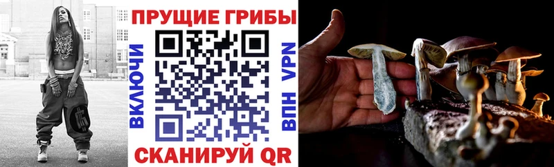 Псилоцибиновые грибы Magic Shrooms Каменка